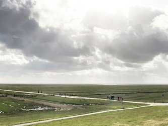 Hamburger Hallig