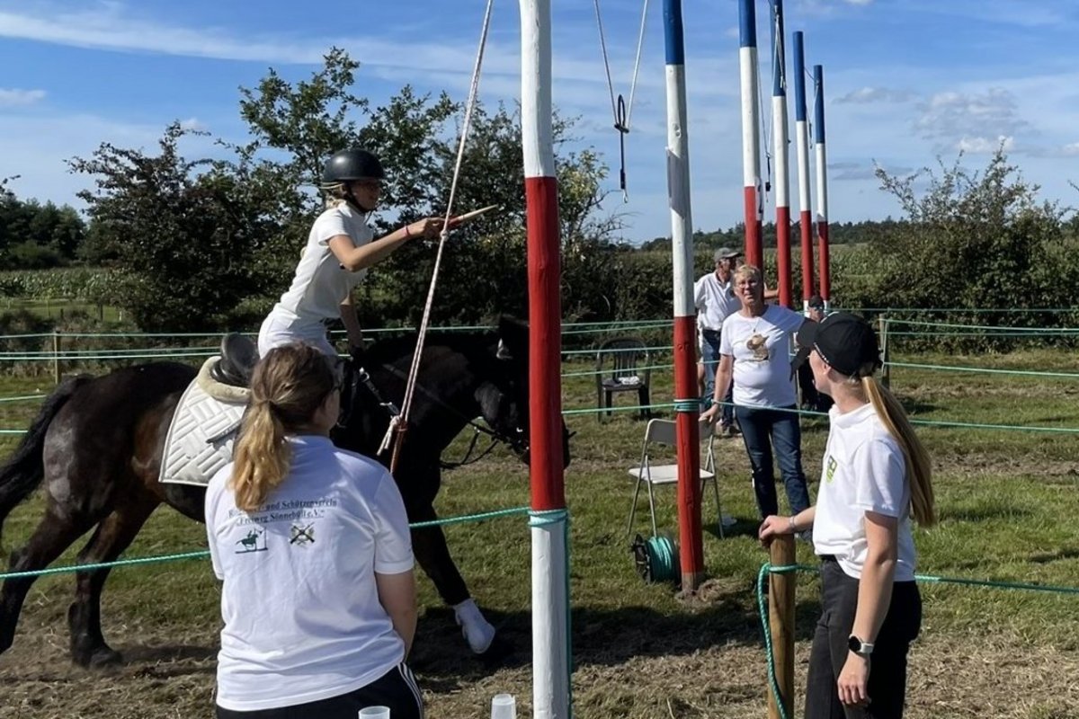 Volle Konzentration beim Anreiten zeigt diese Teilnehmerin des Kinderamtsringreitens in Sönnebüll. Foto: Felix Middendorf eine Reiterin Zielt mit einer Lanze auf einen Ring