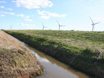 Bordelumer Binnendeich mit Windkraft