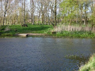 Teich in Bohmstedt