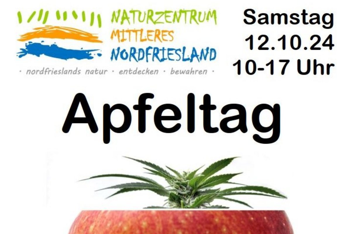 Am 12. Oktober ist Apfeltag im Naturzentrum in Bredstedt. Das Apfeltag-Plakat